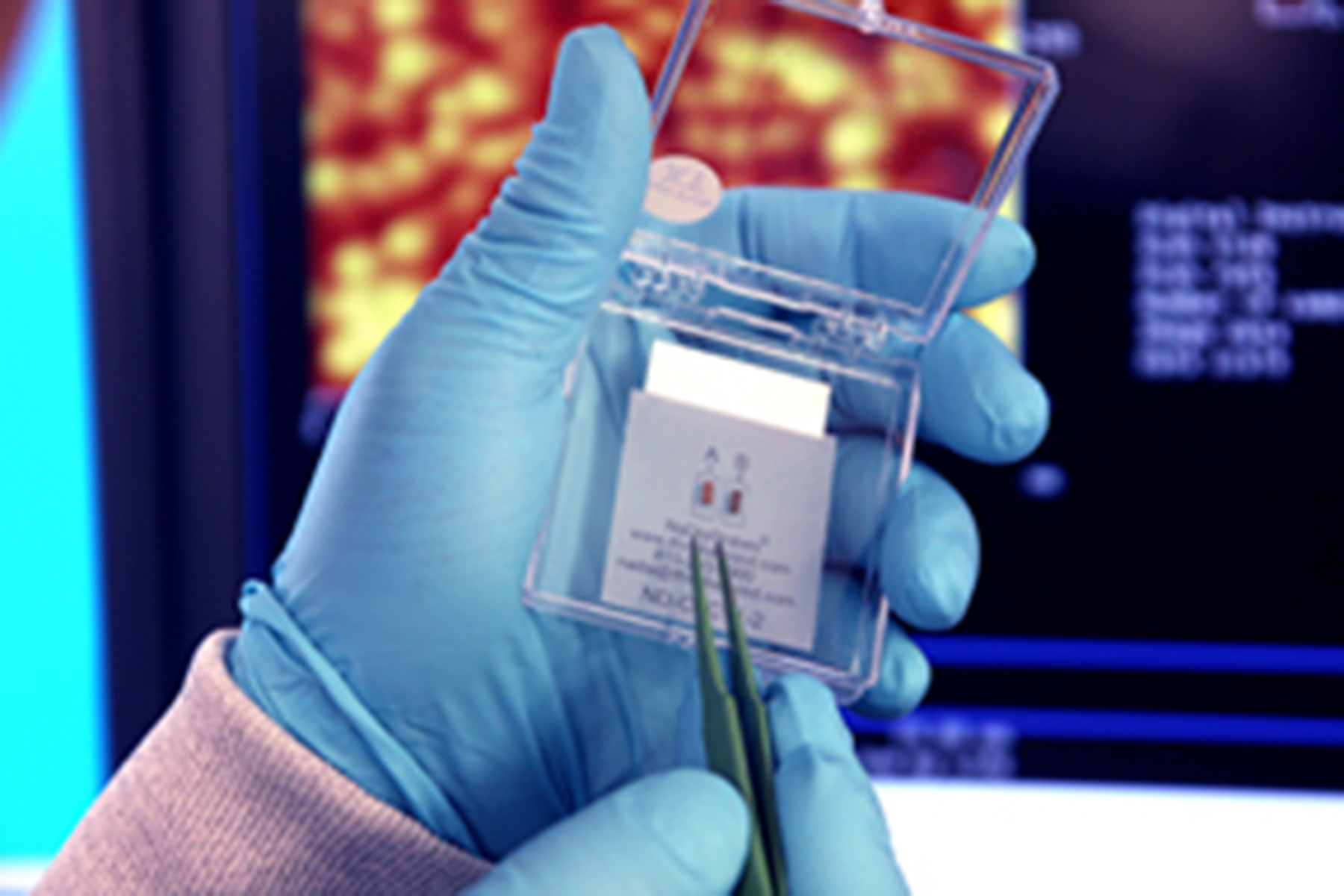 AFM Cantilever Scanning Probe Microscopy Schaefer Group